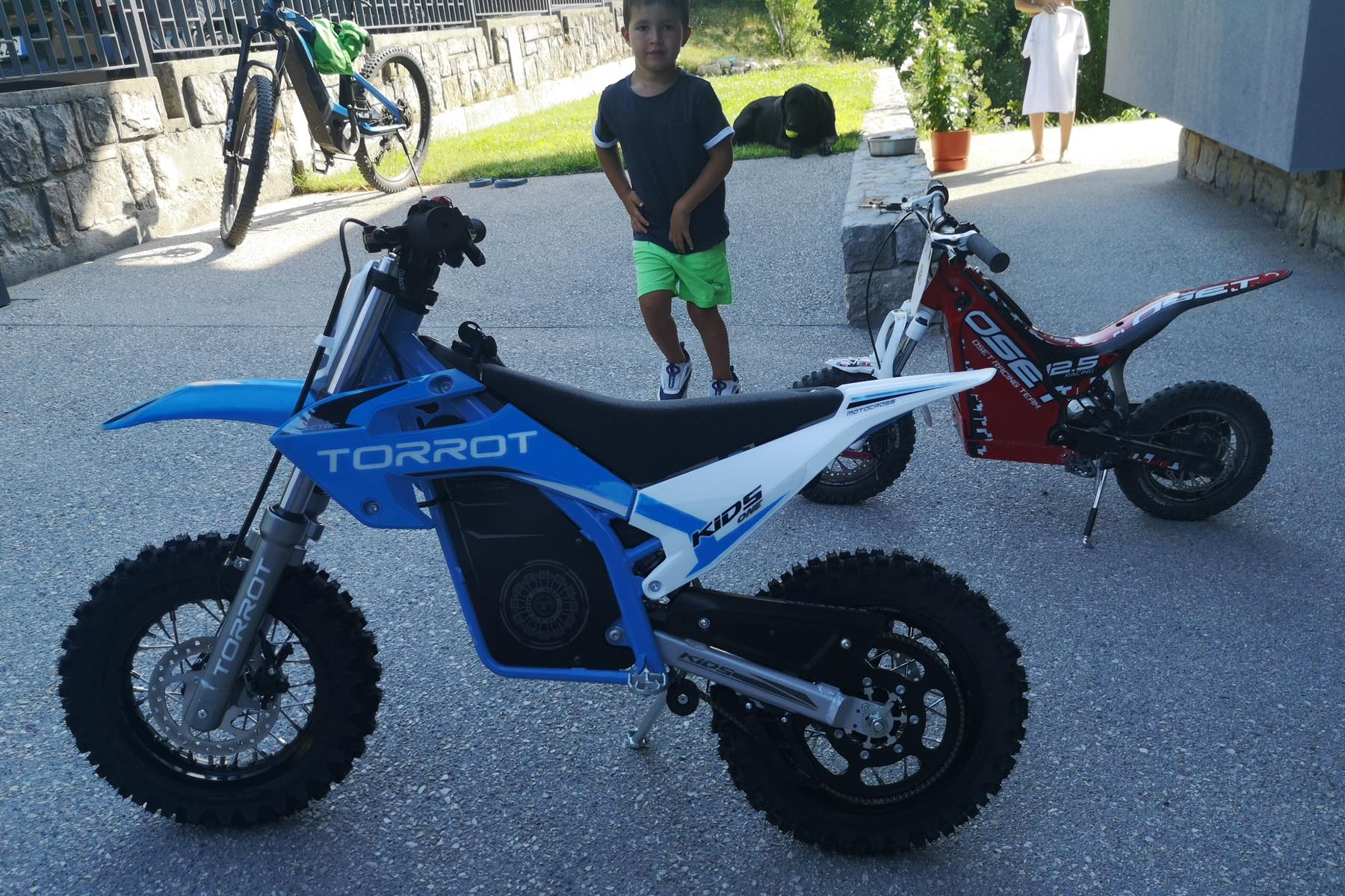 MINIMOTO TORROT / OSET